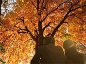 autumn_couple02.jpgのサムネイル画像のサムネイル画像のサムネイル画像